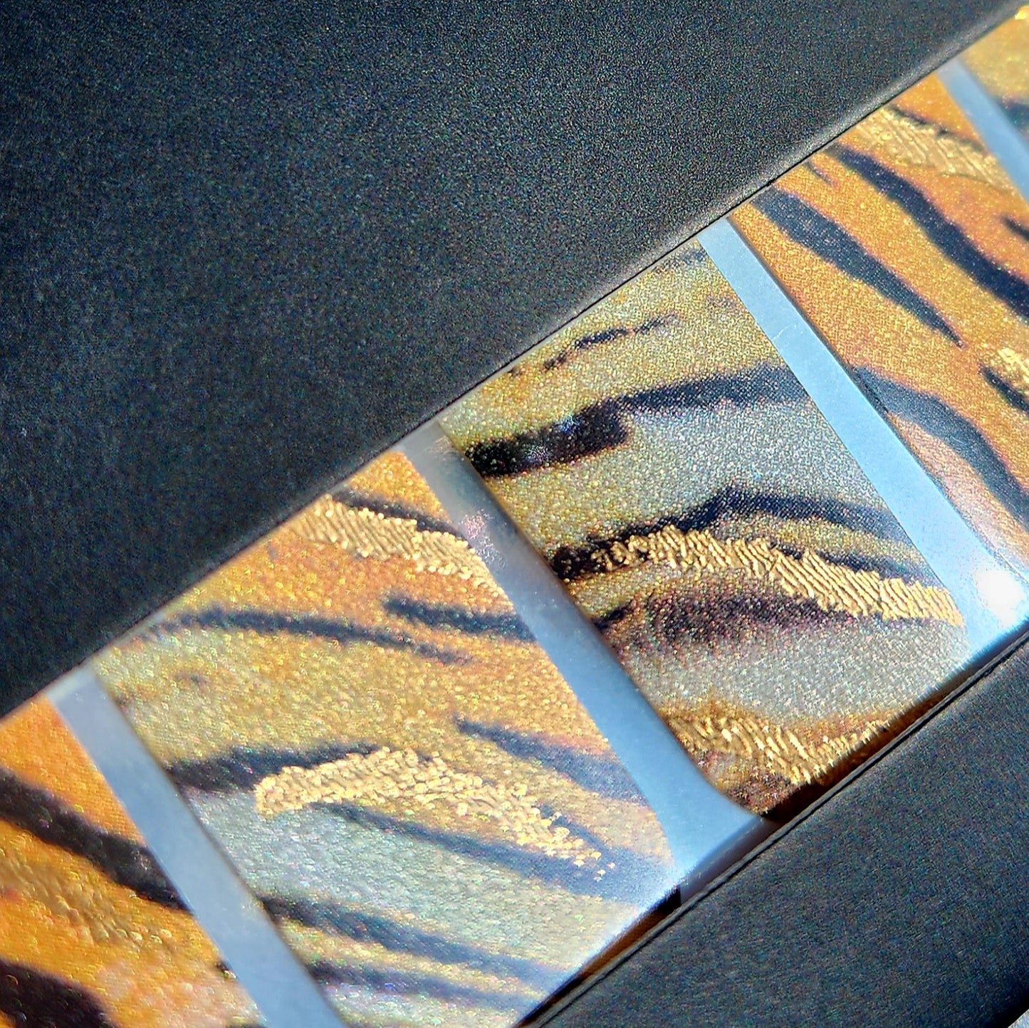 Close up of Rawr tiger print nail wraps showing pearl shimmer and gold foil. 